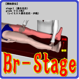 ブルンストロームステージ（片麻痺機能検査） logo