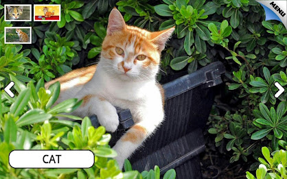 Zoo and Farm Animals for Kids poster 23