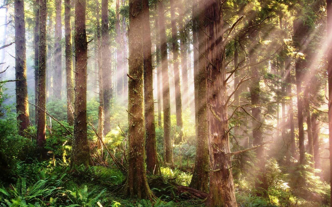 PUgXesfx_ursOtfGHiVn3LHu126tUZA2ixgzvF6K_9ZCr1tRphVibie11f3Cz_mnSWQ=h900