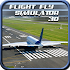 Flight Simulator : Fly 3D 1.0