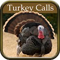 Turkey Hunting Calls