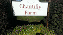 Chantilly Farm