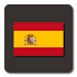 Lightning Launcher - EspaÃ±ol19