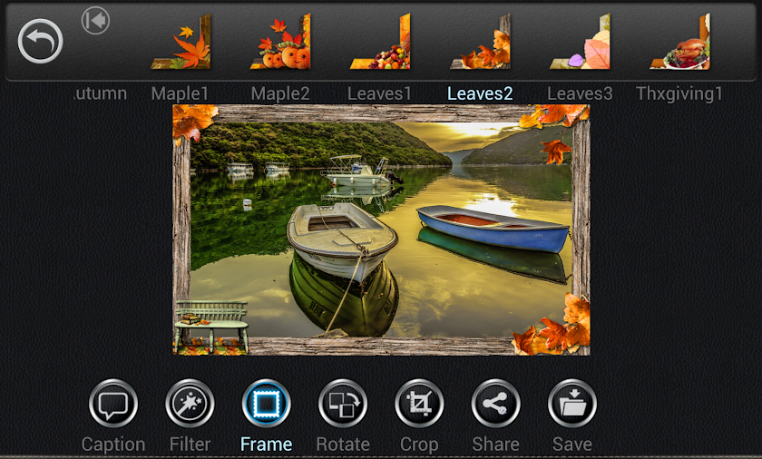 CameraAce Frames: Autumn Pack Screen 2