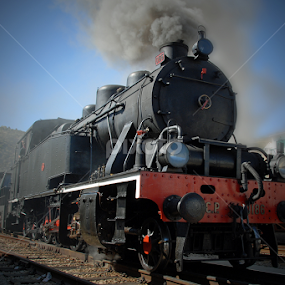 The steam train by Antonio Amen - Transportation Trains
