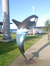 Orcas in the City