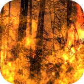 Flames HD Pro Live Wallpaper
