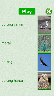 Lastest Flashcards Malay Lesson APK for PC