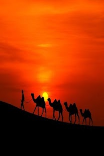 Download Sunset wallpapers APK for Android