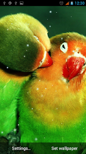 How to download Parrot Live Wallpaper 1.2 unlimited apk for pc