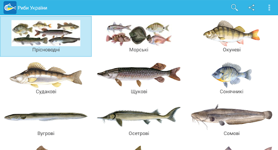Риби України Screenshots 4