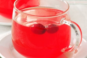 Fresh Cranberry Punch