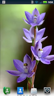 Free Orchids Live Wallpaper APK for PC