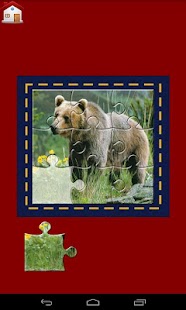 Animal Jigsaw Puzzles and Quiz