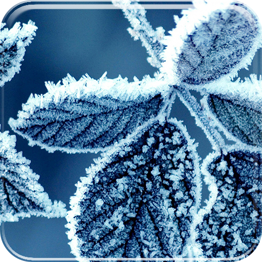 Winter Live Wallpaper 個人化 App LOGO-APP開箱王