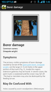 How to install Palm Symptoms Key 1.0.3 apk for bluestacks