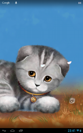 【免費個人化App】Silvery the Kitten HD-APP點子