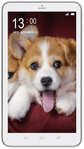 Cute corgi wallpaper