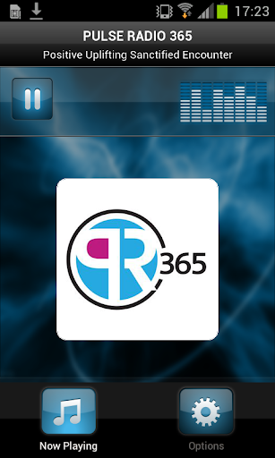 PULSE RADIO 365