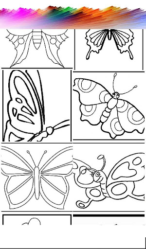 Butterfly Coloring