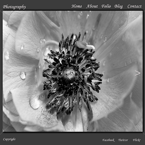 Webpage template. by Dipali S - Web & Apps Pages