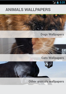 Free Download Animals Wallpapers Backgrounds APK for Android