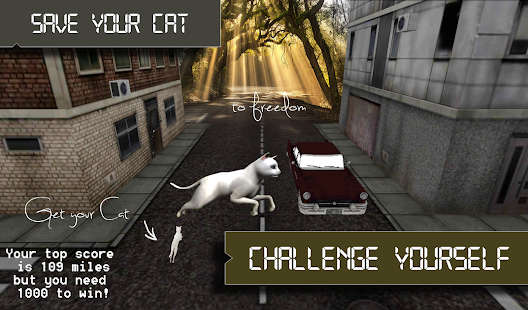 How to install Save your Cat 3D patch 1.0.1 apk for android