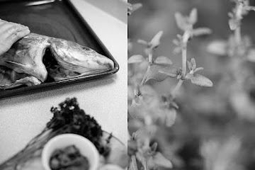 Grilled Whole Haddock Stuffed with Lemon and Herbs