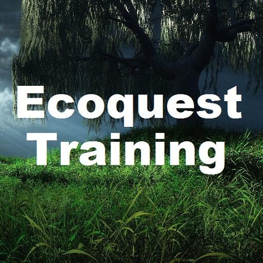 Struggling in Ecoquest Biz 商業 App LOGO-APP開箱王