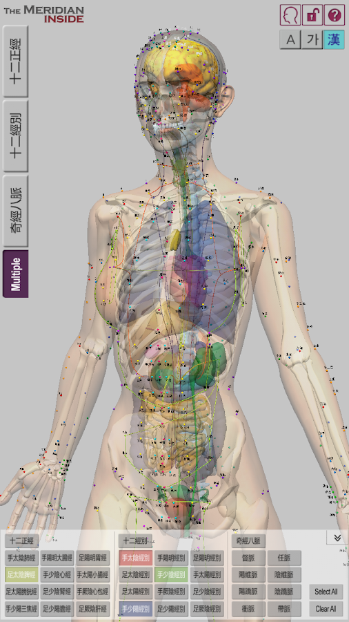 Энергетические меридианы тела человека подробная карта и описание