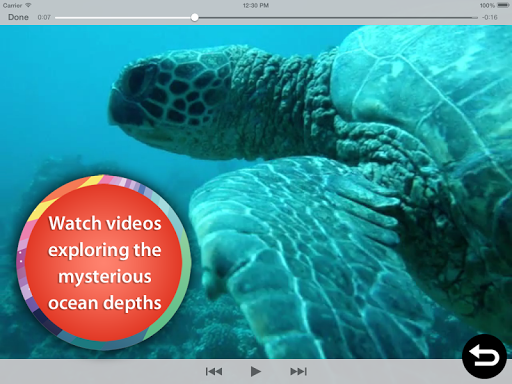 免費下載教育APP|Ocean Animal Learning app開箱文|APP開箱王