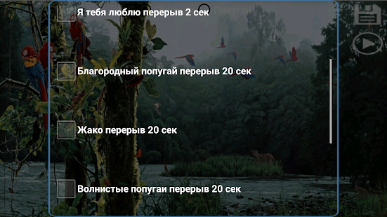 Программы Для Обучения Попугая Разговору