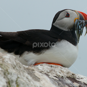 by Bob Rawlinson - Uncategorized All Uncategorized