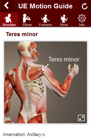 Upper Extremity Motion Guide Screen 2