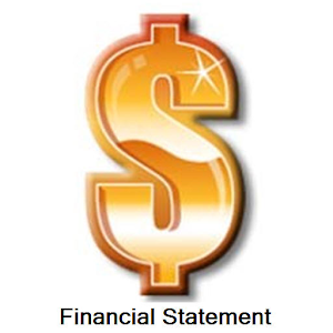 Financial Statement.apk 1.0