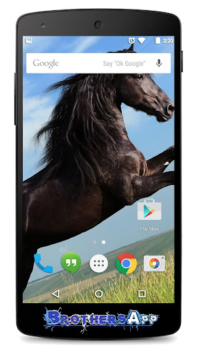 【免費個人化App】Horse Background-APP點子