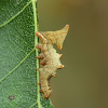 Iron Prominent