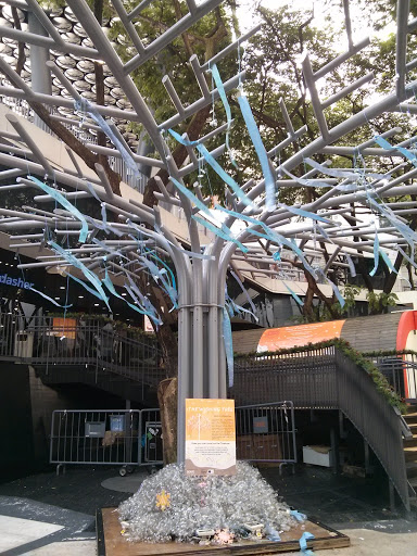 The Wishing Tree at Scape