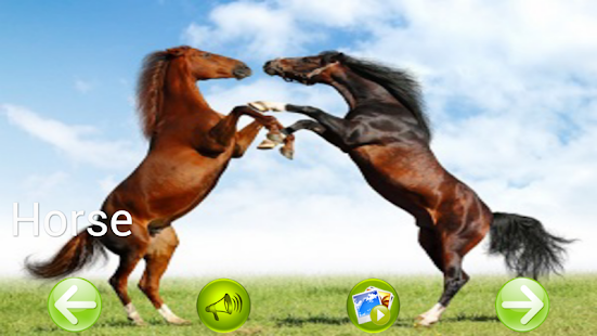 animal sounds Screenshots 5