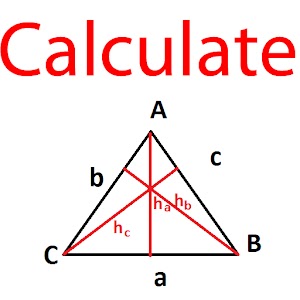 Triangle Solver 2.1