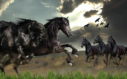 Wild Horses Live Wallpaper