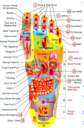 免費下載醫療APP|Books Reflexology app開箱文|APP開箱王