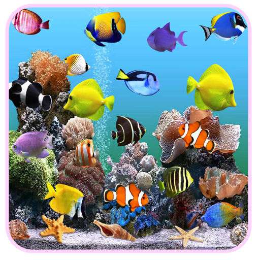 Marine Aquarium HD LW 攝影 App LOGO-APP開箱王