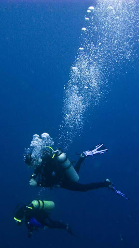 Xiphias Diving