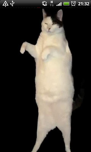 【免費個人化App】Dancing Cat Live Wallpaper-APP點子