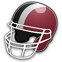 Falcons News logo