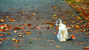 waitin' by Jiunn-yih Lau -  