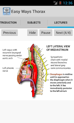 Easy Ways Thorax