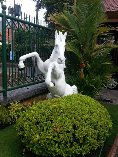 Kuda Putih Jingkrak WR
