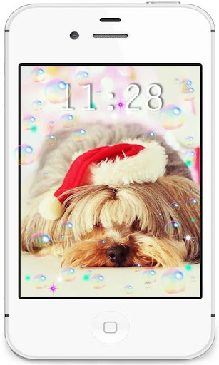 【免費個人化App】Yorkshire Terrier Photo LWP-APP點子